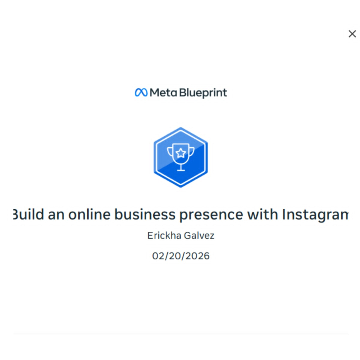 Build an online business presence with Instagram
